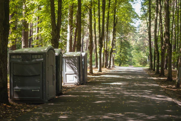 Best Affordable porta potty rental  in Lake Wildwood, CA